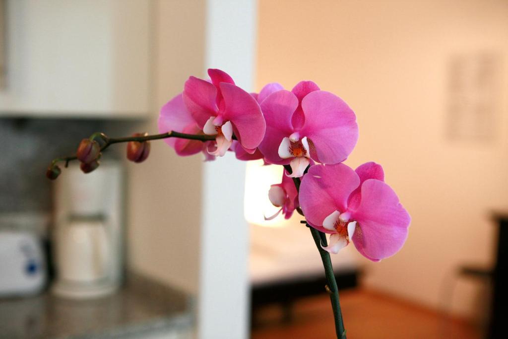 La Scala Apartments Viyana Dış mekan fotoğraf